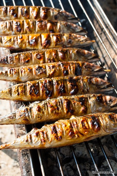grilled mackerels on the grill on campfire